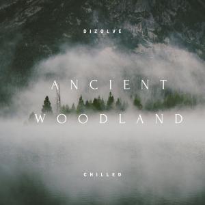 Dengarkan lagu Ancient Woodland nyanyian Dizolve dengan lirik