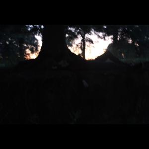William Hunter的專輯wolves