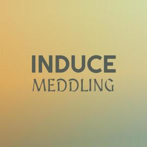 Listen to Induce Meddling song with lyrics from Germ Boka