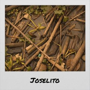收听Mado Grard的Joselito歌词歌曲