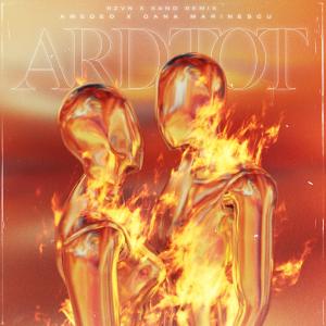 Listen to Ard Tot (Rzvn X Xand Remix) song with lyrics from Amedeo
