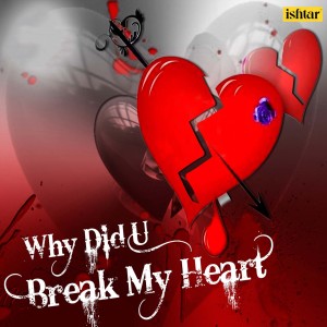 Album Why Did U Break My Heart oleh Iwan Fals & Various Artists