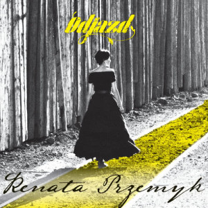 收聽Renata Przemyk的Małe Niebo歌詞歌曲