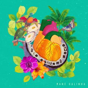 Listen to Fica Comigo song with lyrics from Mané Galinha