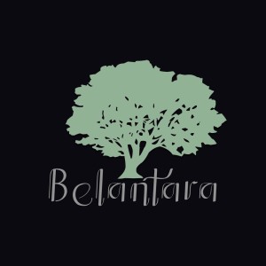 Belantara Belantara Mp3 Songs Belantara Song Lyrics Download Joox App