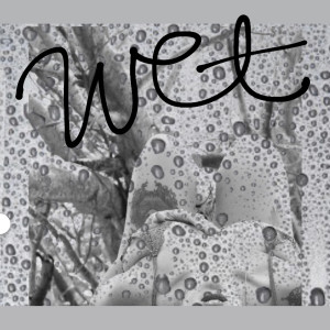 Listen to Wet song with lyrics from Kayscend