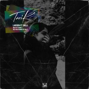 收听Larsen的Tarik歌词歌曲