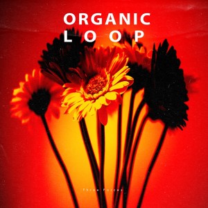 ดาวน์โหลดและฟังเพลง Ritual (Lel Remix) พร้อมเนื้อเพลงจาก Serg Underground