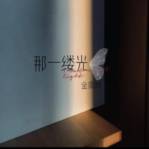 Dengarkan 那一缕光 (完整版) lagu dari 金南玲 dengan lirik