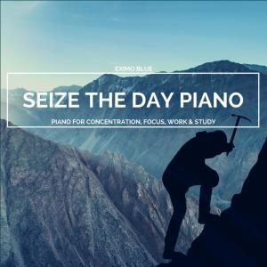 Listen to Concentrate song with lyrics from Eximo Blue