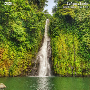 ดาวน์โหลดและฟังเพลง Cascada พร้อมเนื้อเพลงจาก Ela Nguema Ganster