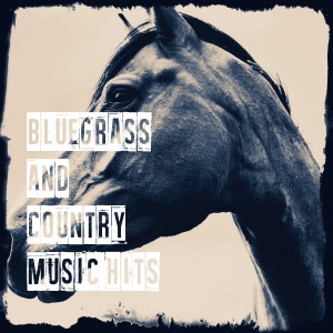 Album Bluegrass and Country Music Hits oleh Country Kings