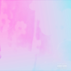 Album TODDLER (Explicit) from Mecca