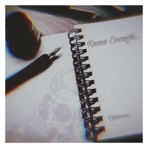 ดาวน์โหลดและฟังเพลง Know Enough พร้อมเนื้อเพลงจาก Vylanous