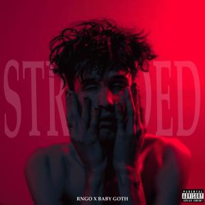 อัลบัม Stranded (feat. Baby Goth) (Explicit) ศิลปิน RNGO