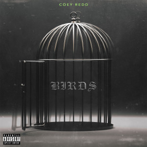 Listen to Birds (Explicit) song with lyrics from Coey Redd