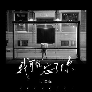 Listen to 我可能忘了你 song with lyrics from 丁芙妮