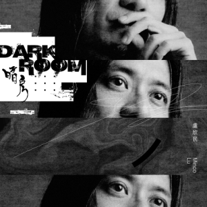 Listen to No Music song with lyrics from 卢欣民