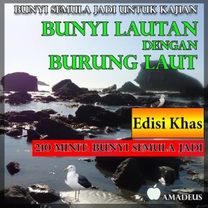 收聽群星的Unggun Api dan Malam Yang Bergelora: bunyi semula jadi歌詞歌曲