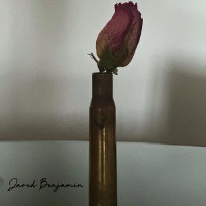 收聽Jared Benjamin的Poison (Explicit)歌詞歌曲