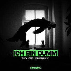 nullsechsroy的專輯ICH BIN DUMM
