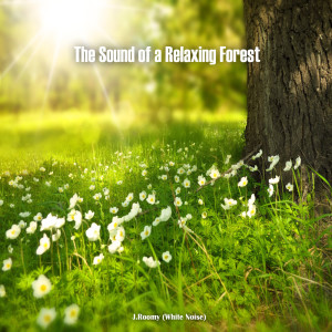 收聽J.Roomy的The Sound of a Relaxing Forest歌詞歌曲
