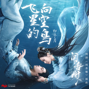 Listen to 飞向星空的鸟 (伴奏) song with lyrics from 印子月