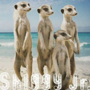 收聽Shiggy Jr.的Summer Time Love (□□□ remix)歌詞歌曲
