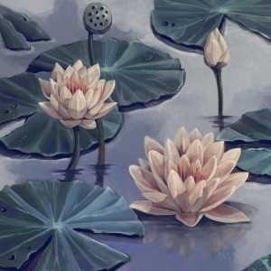 收听mousa的clairo歌词歌曲