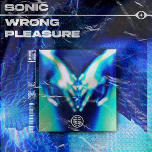 Album Wrong Pleasure from SoniC