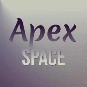 Various Artists的專輯Apex Space