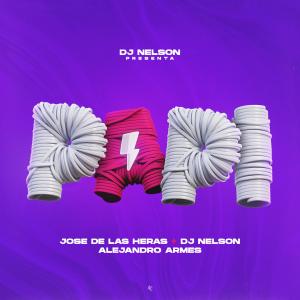 Listen to PAPI (Explicit) song with lyrics from DJ Nelson