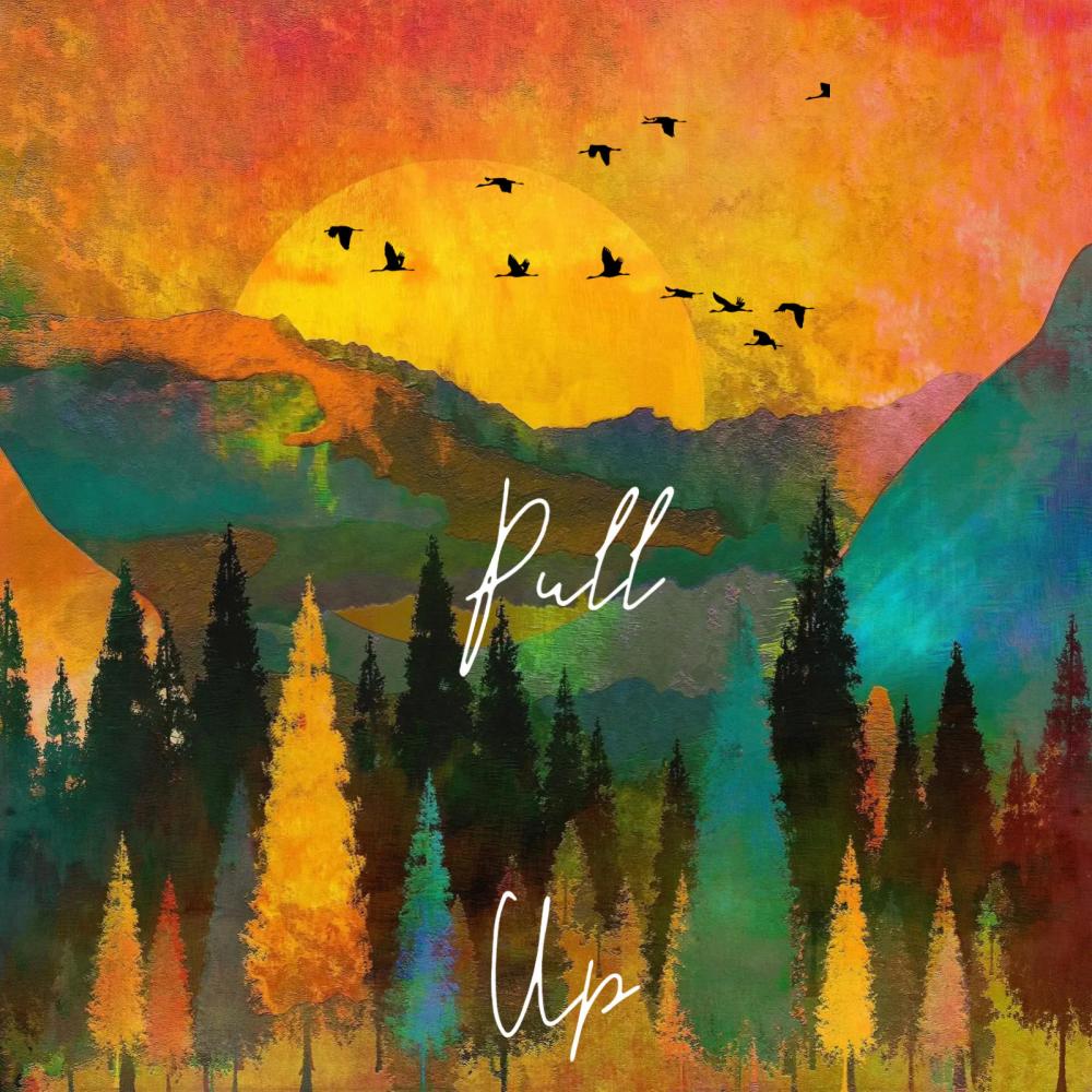 Pull Up (feat. Sam Wills, Satin Jackets & Bahari) (Explicit)