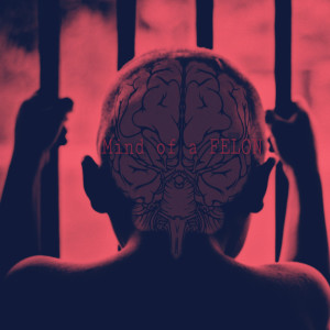 Album Mind of a Felon (Explicit) from F1 of Felonation