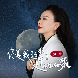 Listen to 你是我这辈子走不出的梦 (伴奏) song with lyrics from 梅朵