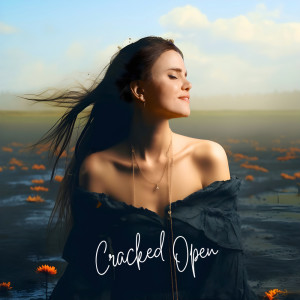 Album Cracked Open oleh Tiffany Alvord