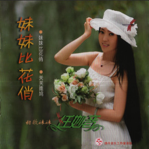 Listen to 妹妹等着你 (无伴唱版) song with lyrics from 任妙音
