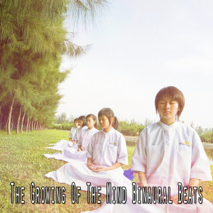 Dengarkan lagu The Slow Binaural Chime nyanyian Binaural Beats dengan lirik