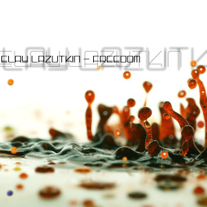 收聽Elay Lazutkin的Freedom歌詞歌曲