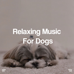 !!!" Relaxing Music For Dogs "!!!