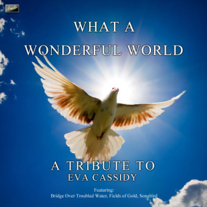 ดาวน์โหลดและฟังเพลง Imagine พร้อมเนื้อเพลงจาก Ameritz Tribute Club