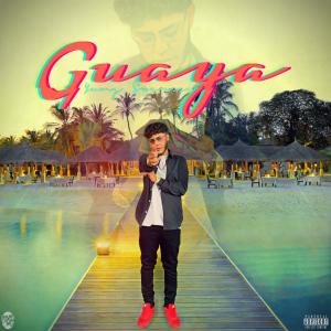 收聽Suelo Swerve的Guaya (feat. Yung Reece) (Remix|Explicit)歌詞歌曲