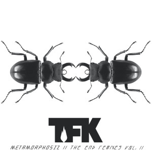 Album Metamorphosiz: The End (Remixes, Vol. 2) oleh Thousand Foot Krutch