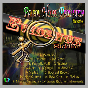 Album Evidence Riddim oleh Various Artists