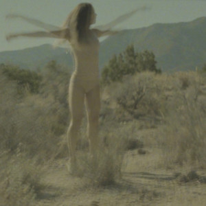 Listen to Bird song with lyrics from Human Bones