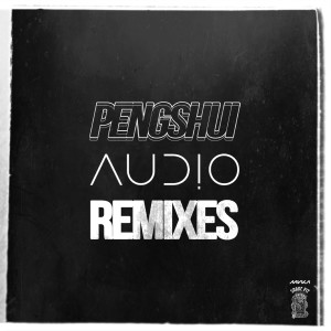 ดาวน์โหลดและฟังเพลง Flowers (Audio Remix) พร้อมเนื้อเพลงจาก Pengshui