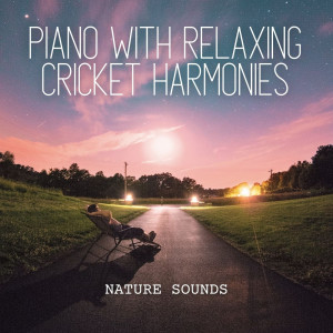 Album Nature Sounds: Piano with Relaxing Cricket Harmonies from Easy Sunday Morning Music