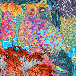 Listen to weekend song with lyrics from bird.