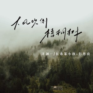 Listen to 大风吹倒梧桐树 song with lyrics from 洋澜一