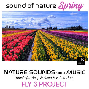 Dengarkan Fiori Bianchi/Inside Garden/Glimpse/At Dusk/Secular Garden/Once Up In A Lifetime/Sensations/Fog/Stones/The Quiet Of A Evening/In The Night/The Rose Garden/Flour De Luna/Violeta (Nature Sounds With Music) lagu dari Fly 3 Project dengan lirik